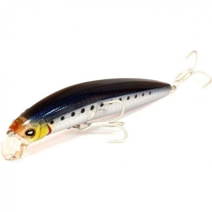 Воблер DAIWA MORETHAN X-CROSS 120SSR / Morethan Iwashi (8004) 4960652694438 Воблер DAIWA MORETHAN X-CROSS 120SSR / Morethan Iwashi (8004) 4960652694438